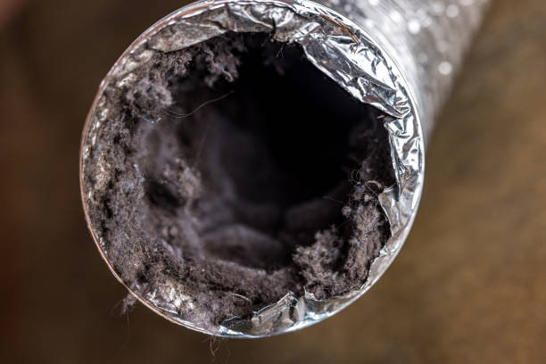 Best Local Air Duct Cleaning Services  in Westlake, TX